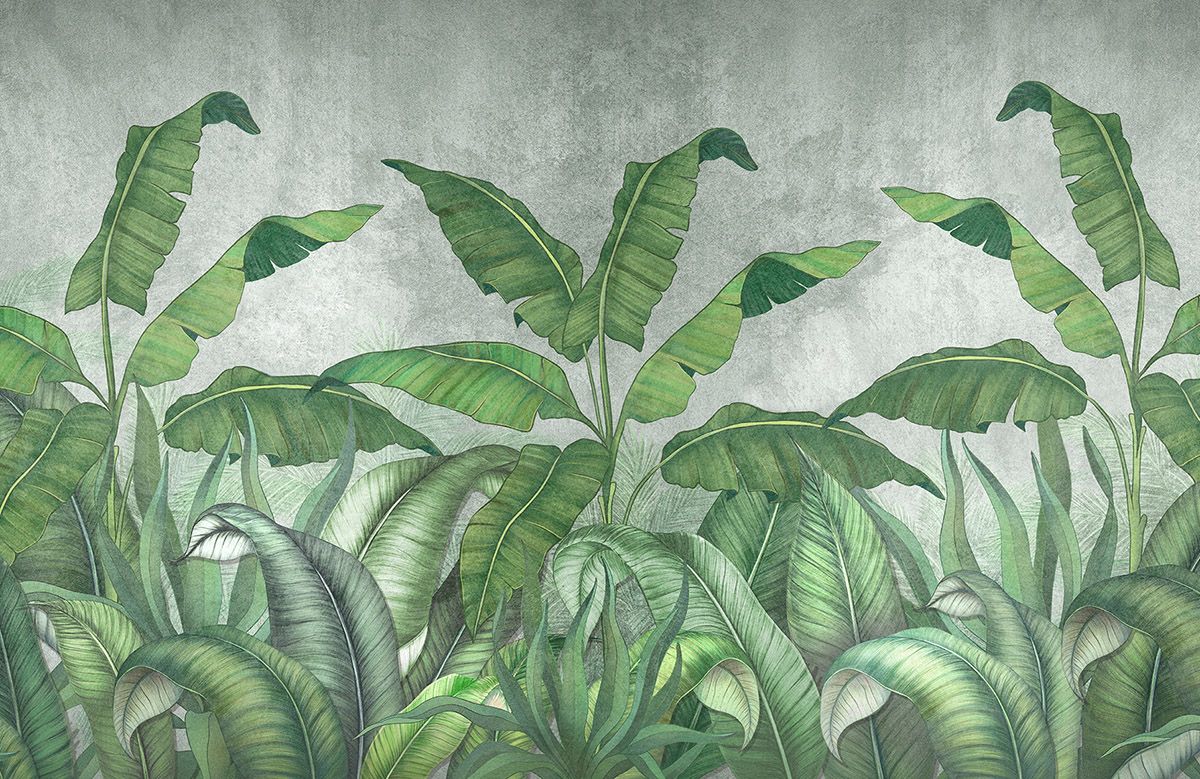 banana-tree-wallpaper-image