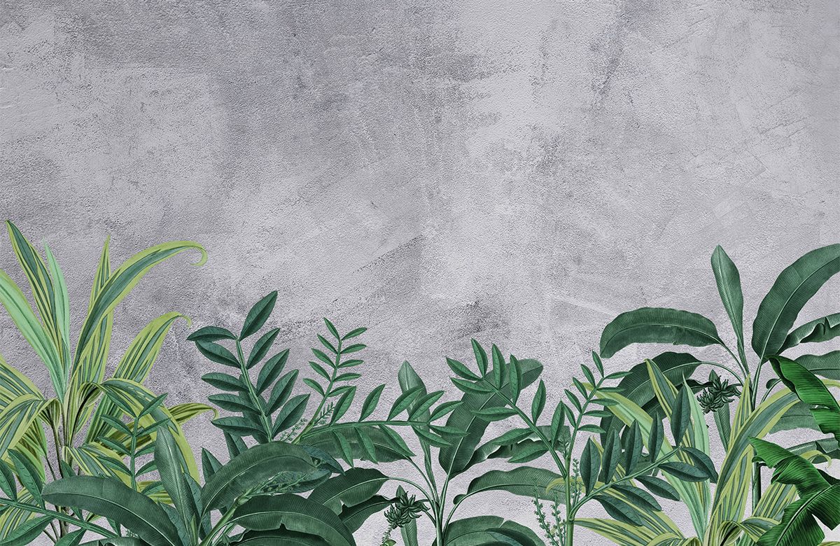 little-green-plans-with-concrete-wall-murals-only-image