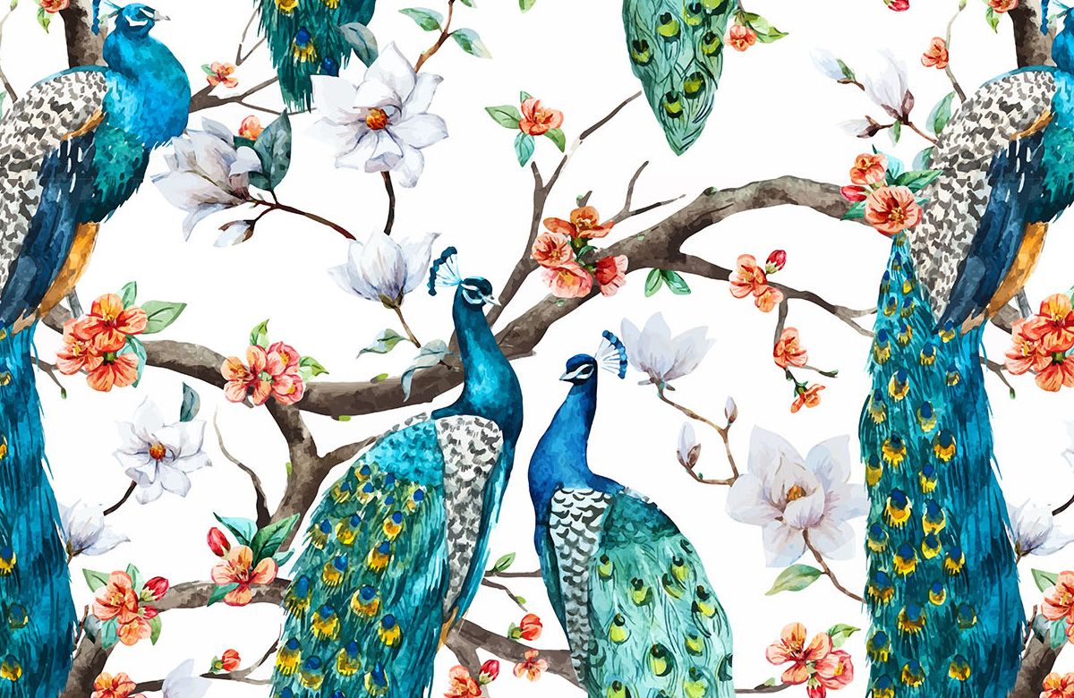 indian-peacock-wallpaper-image