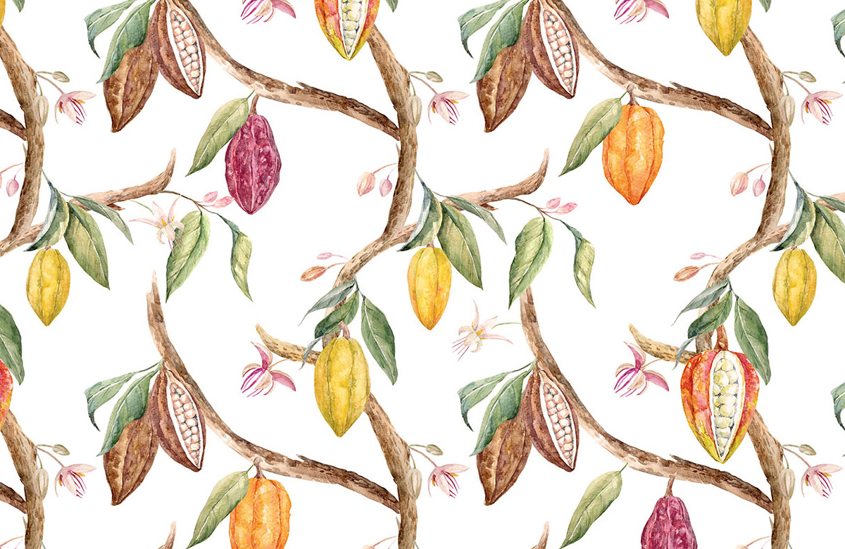 kitchen-wallpaper-fruit-image