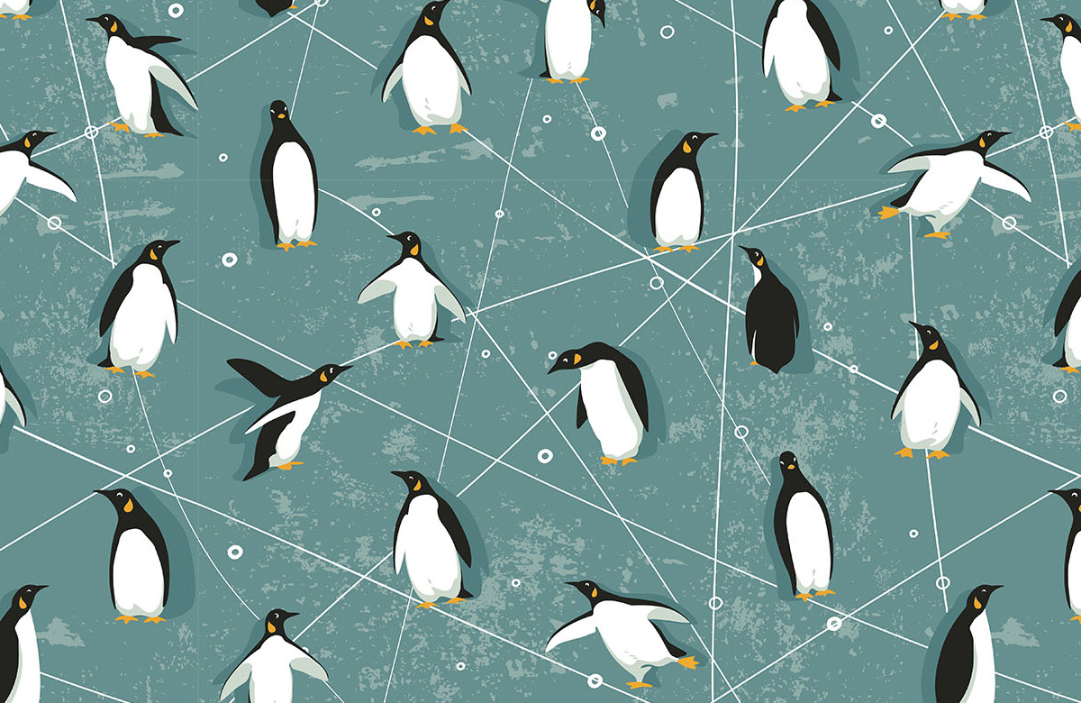 cute-penguin-wallpaper-design-only