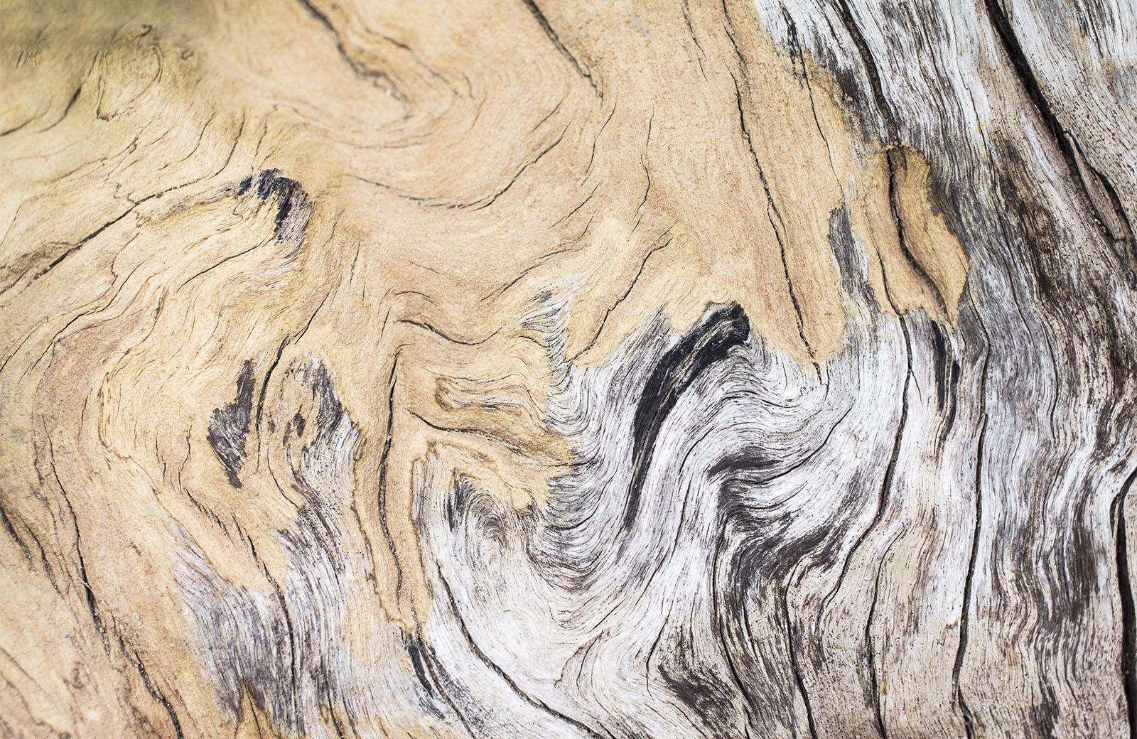wood-grain-wallpaper-design