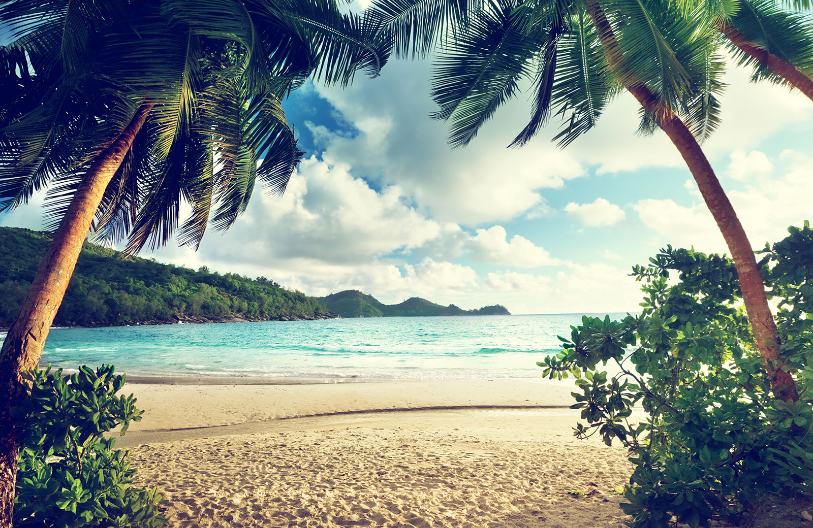 sandy-beach-blue-sky-coconut-trees-wallpaper-wallpaper-design