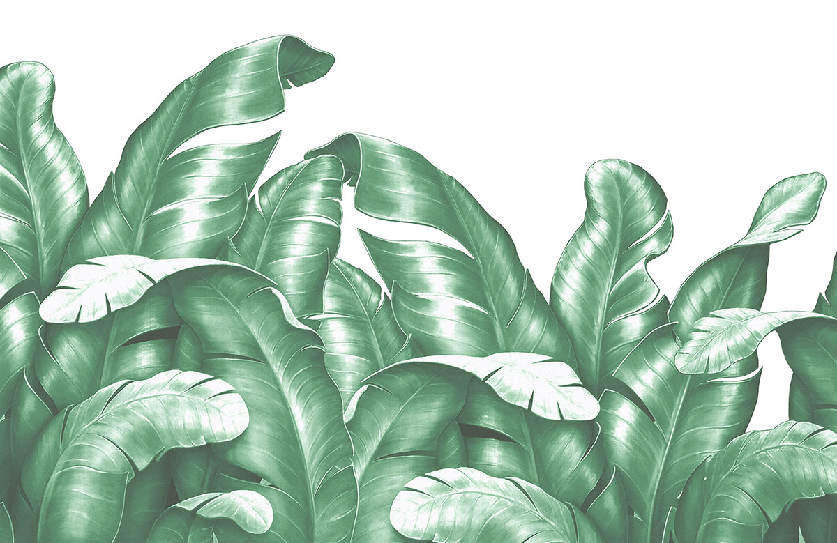 tropical-banana-leaf-wallpaper-image