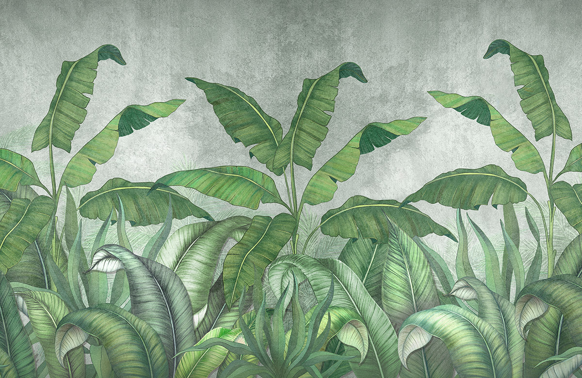 banana-tree-wallpaper-image