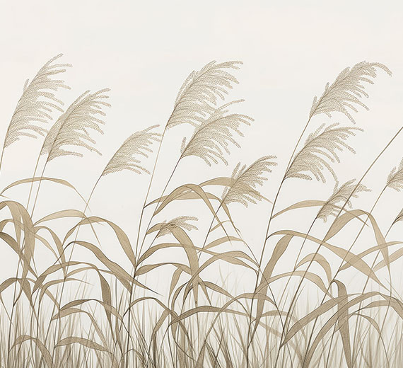 subtle-reed-grass-wallpaper-thumb